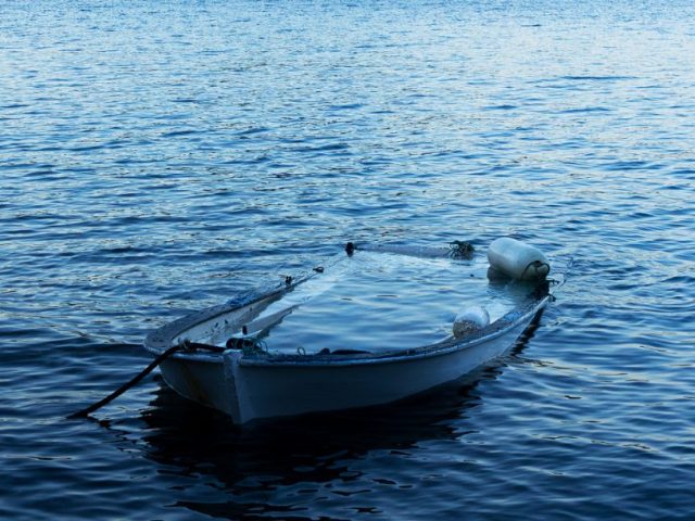 The Voice That Got Away AI, Authenticity, and the Slow Death of Your Writing Voice